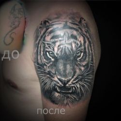 Тигр  на плече (на руке)