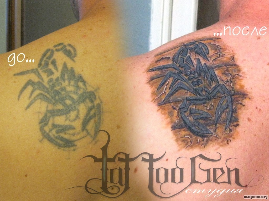 Фотография татуировки под названием «Узор скорпиона»