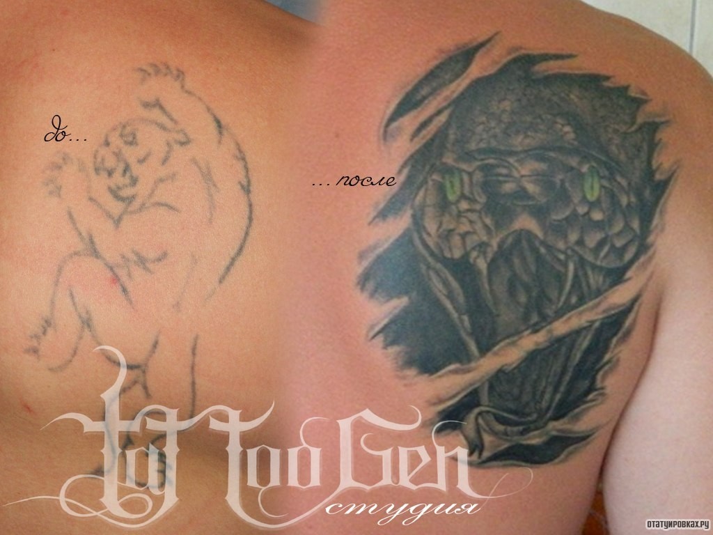 Фотография татуировки под названием «Звея морда»