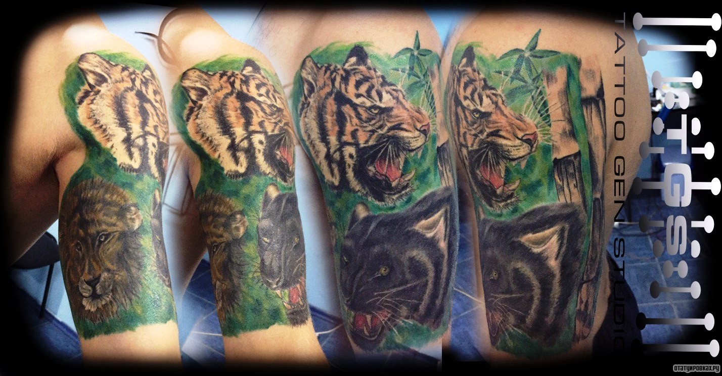 Фотография татуировки под названием «Дигр, лев, пантера на природе»
