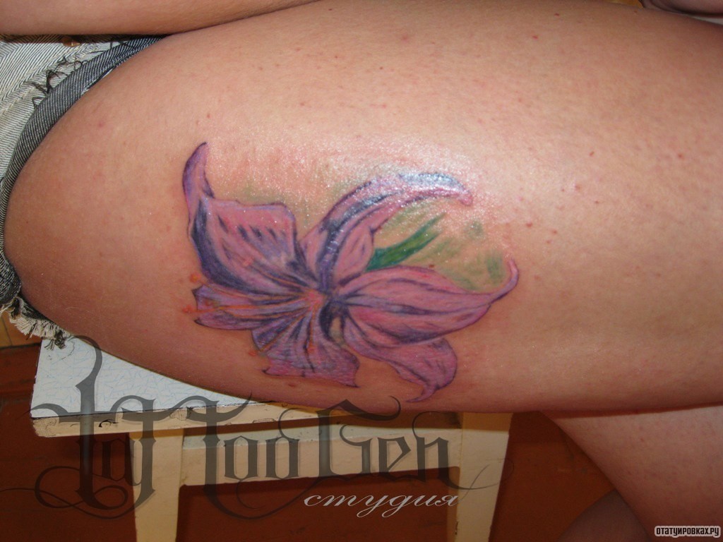 Фотография татуировки под названием «Лилия»
