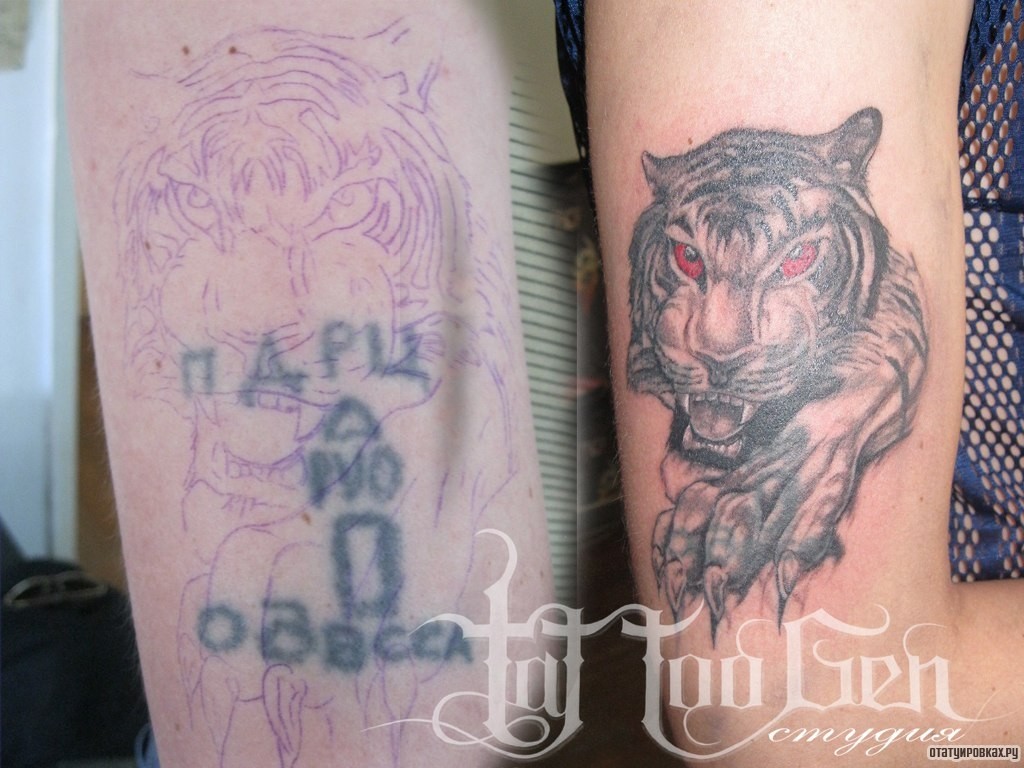 Фотография татуировки под названием «Тигр с красными глазами»