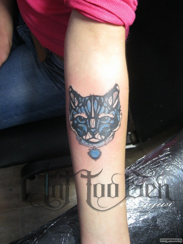 Фотография татуировки под названием «Кот морда»