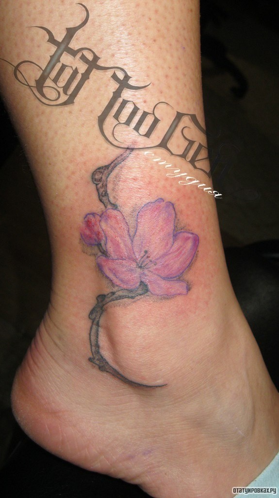 Фотография татуировки под названием «Цветок сакуры»