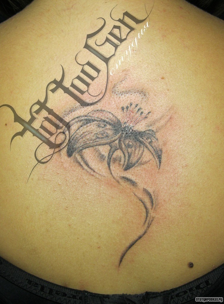 Фотография татуировки под названием «Чб лилия»