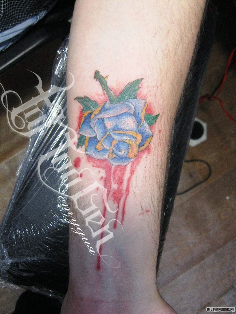 Фотография татуировки под названием «Синяя роза с кровью»