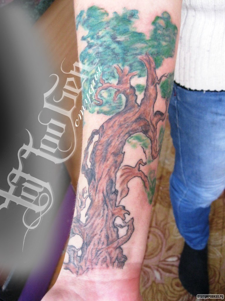 Фотография татуировки под названием «Дерево»