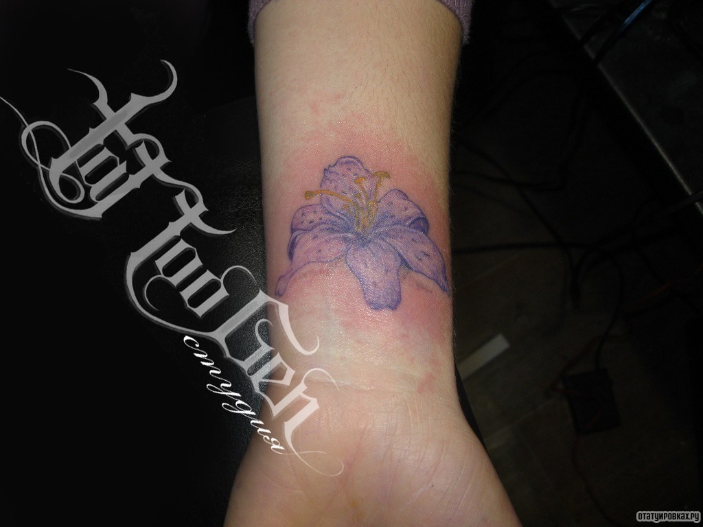 Фотография татуировки под названием «Лилия сиреневая»