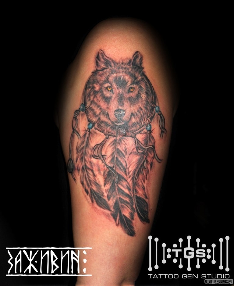 Фотография татуировки под названием «Волк ловец снов»