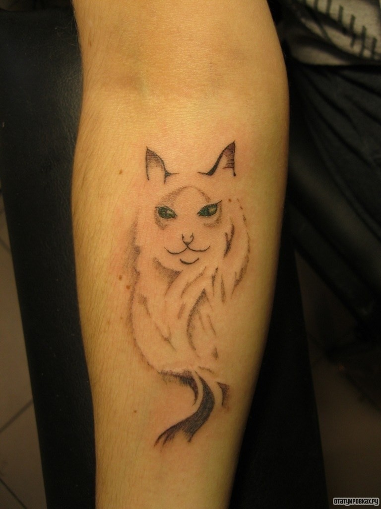 Фотография татуировки под названием «Очертания кота»