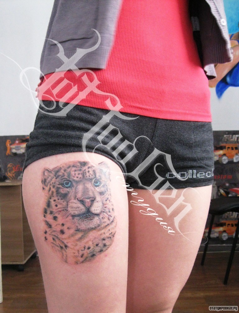 Фотография татуировки под названием «Гепард»