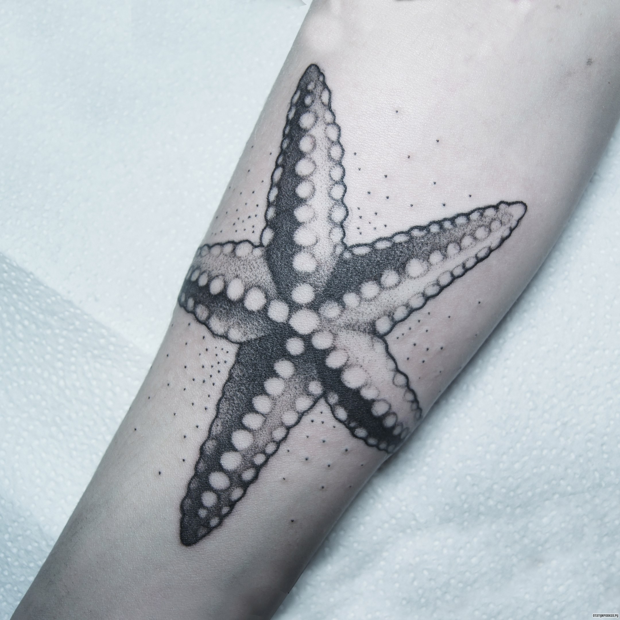 Фотография татуировки под названием «Морская звезда»