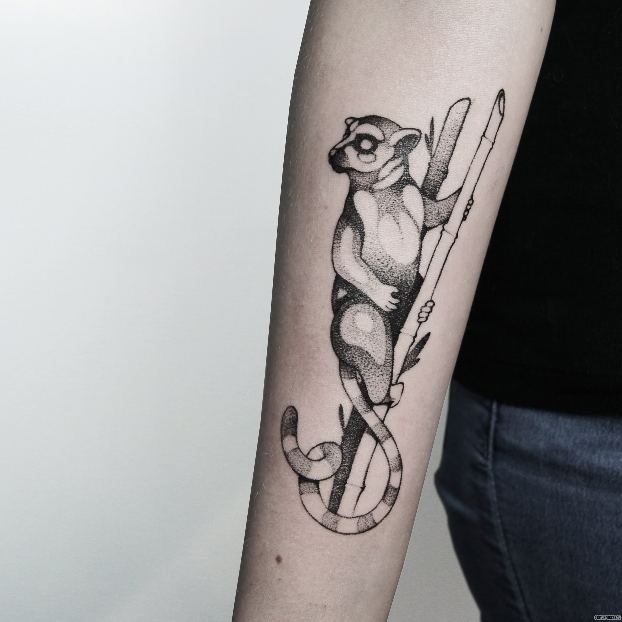 Фотография татуировки под названием «Лемур на ветке»