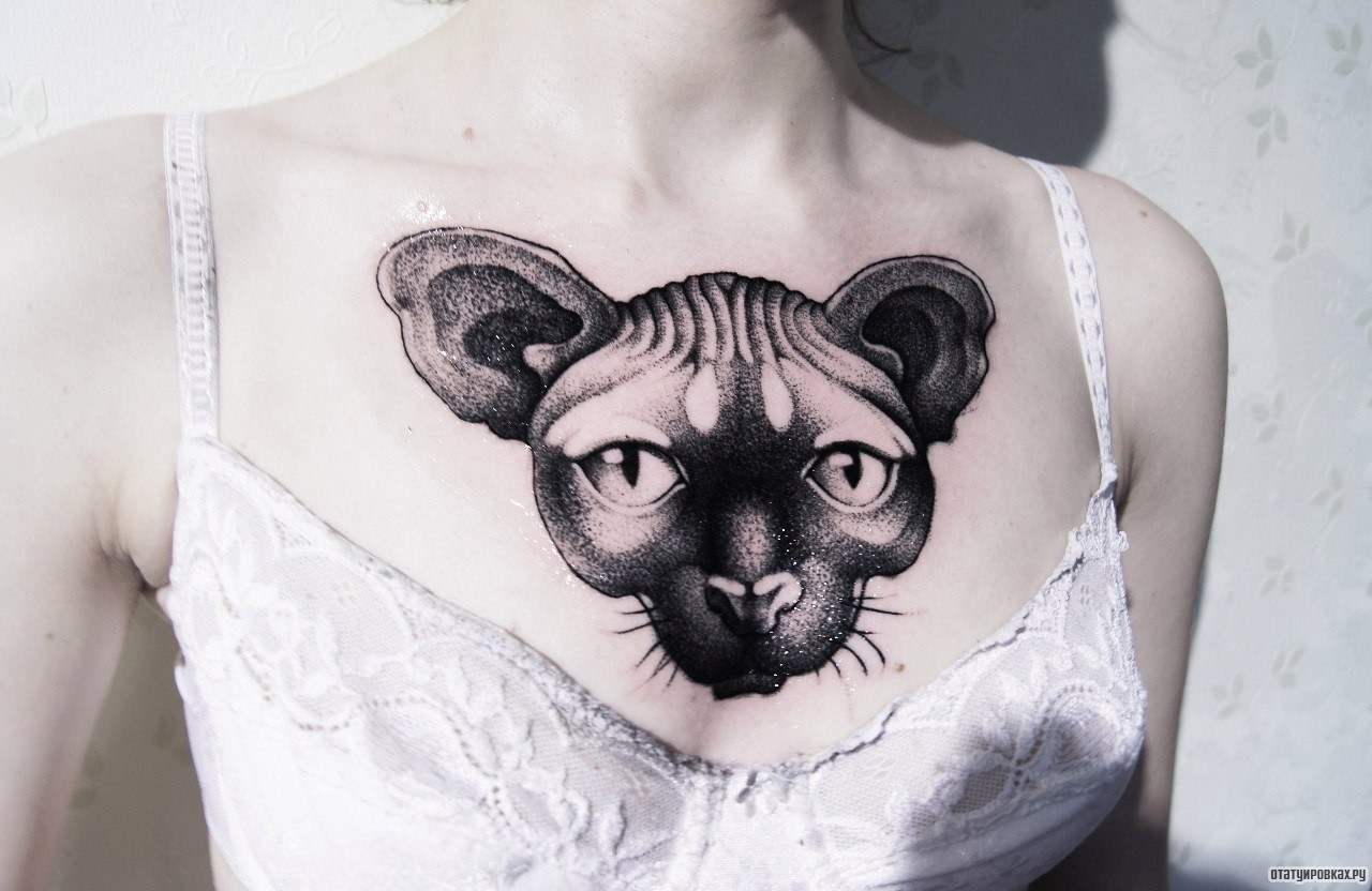 Фотография татуировки под названием «Кот»