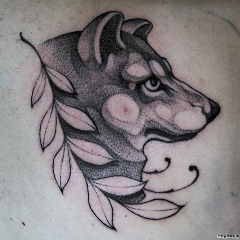 Фотография татуировки под названием «Солк и ветка»