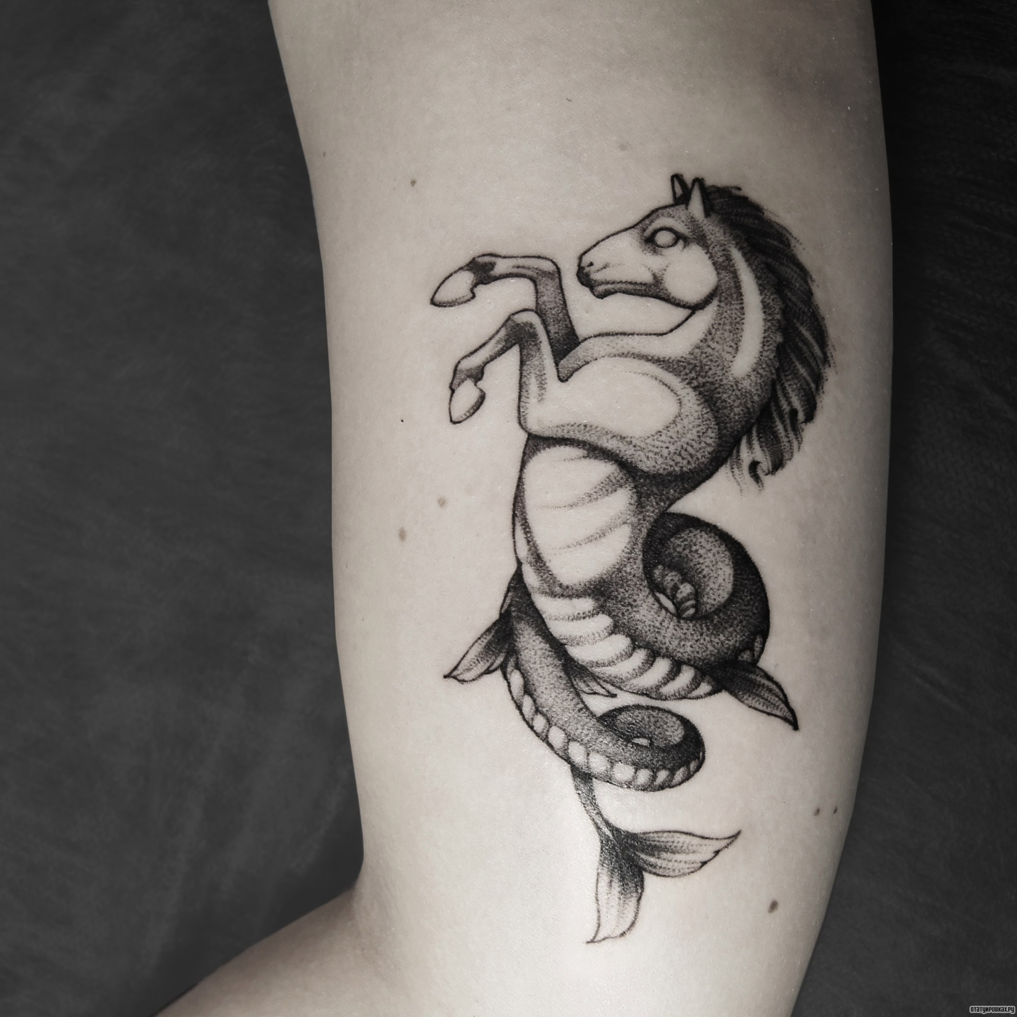 Фотография татуировки под названием «Лошадь рыба»