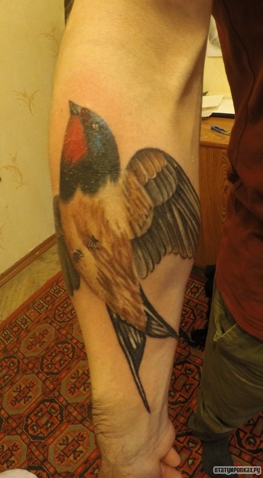 Фотография татуировки под названием «Ласточка летит вверх»