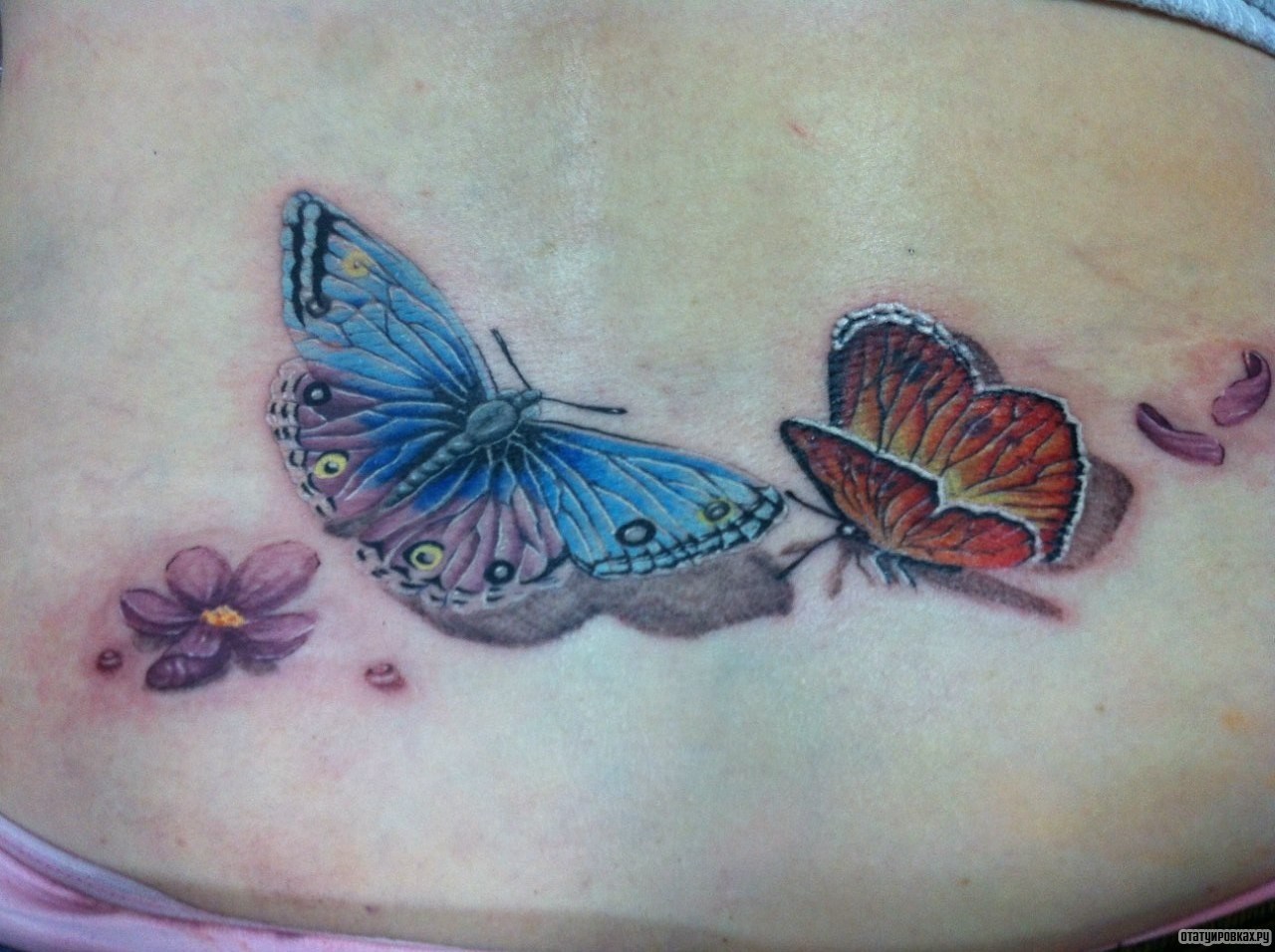 Фотография татуировки под названием «Дв бабочки и цветок сакуры»