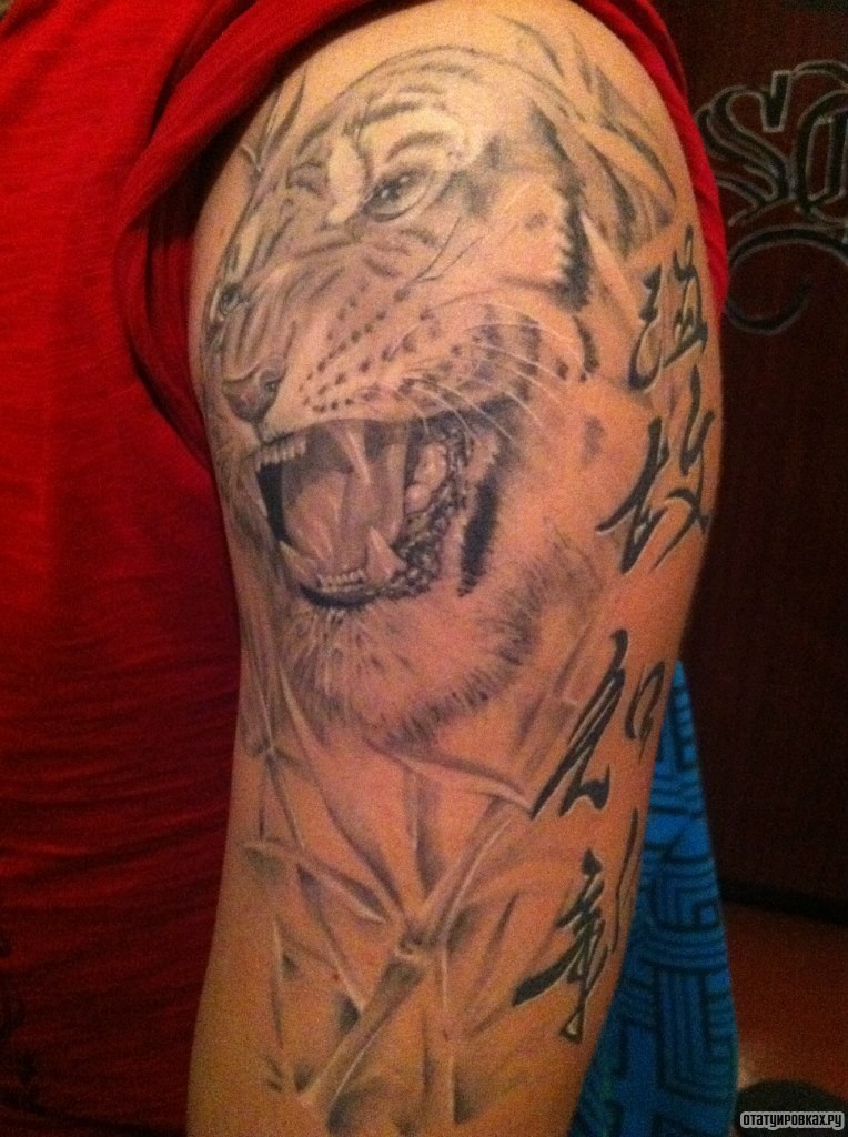 Фотография татуировки под названием «Тигр в траве»