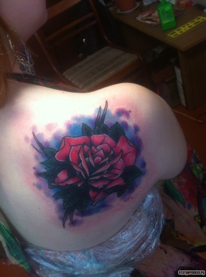 Фотография татуировки под названием «Роза на фоне неба»