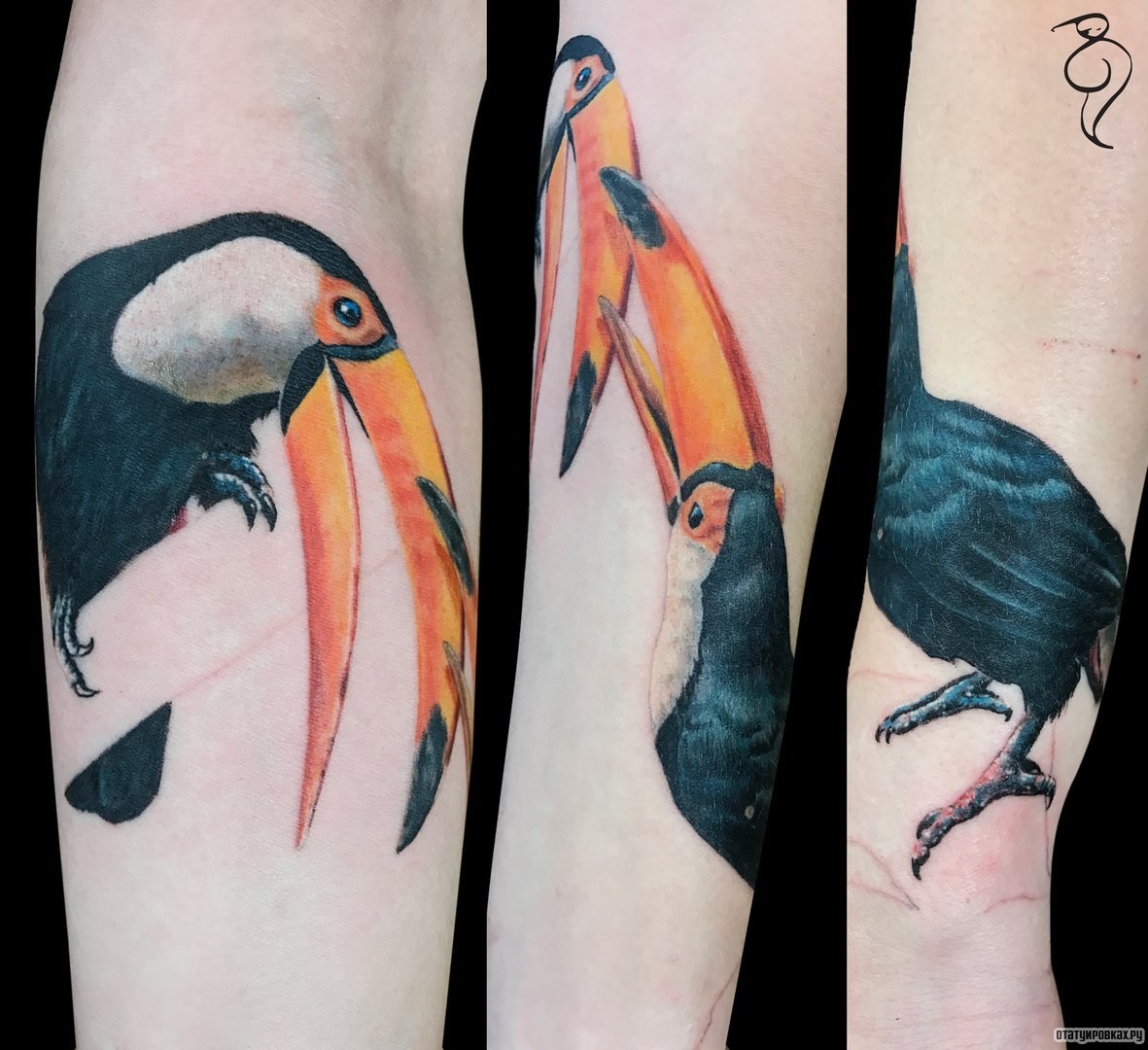 Фотография татуировки под названием «Пеликан»