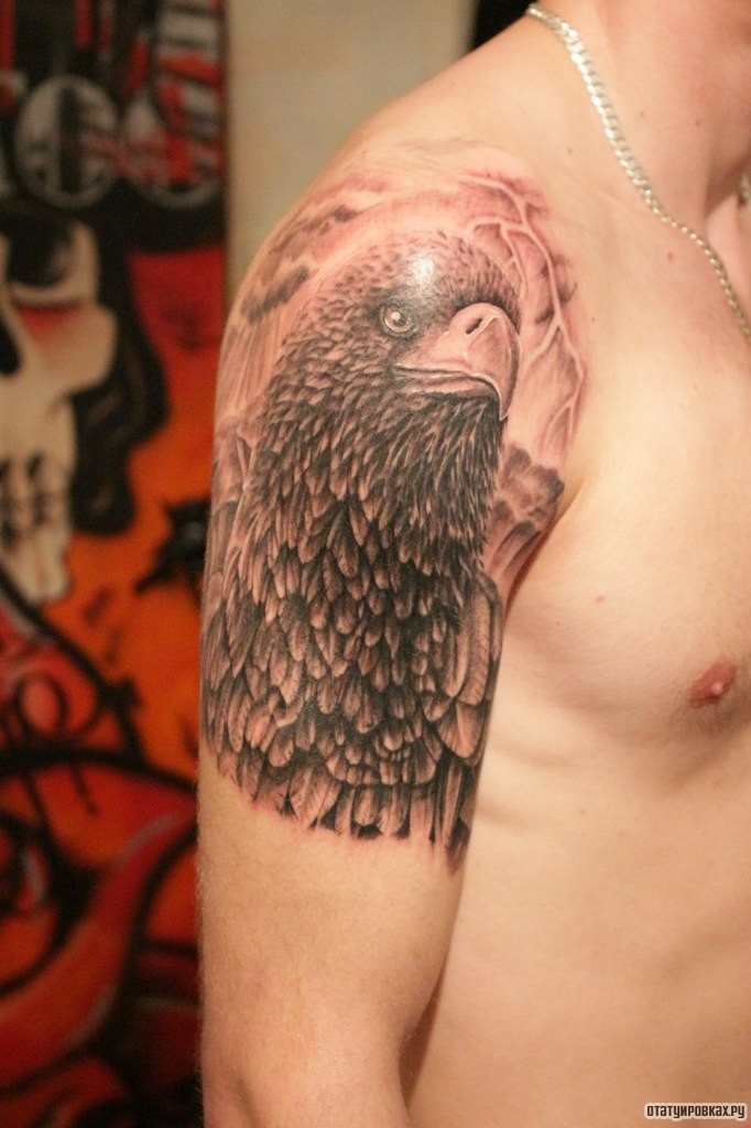 Фотография татуировки под названием «Голова орла»