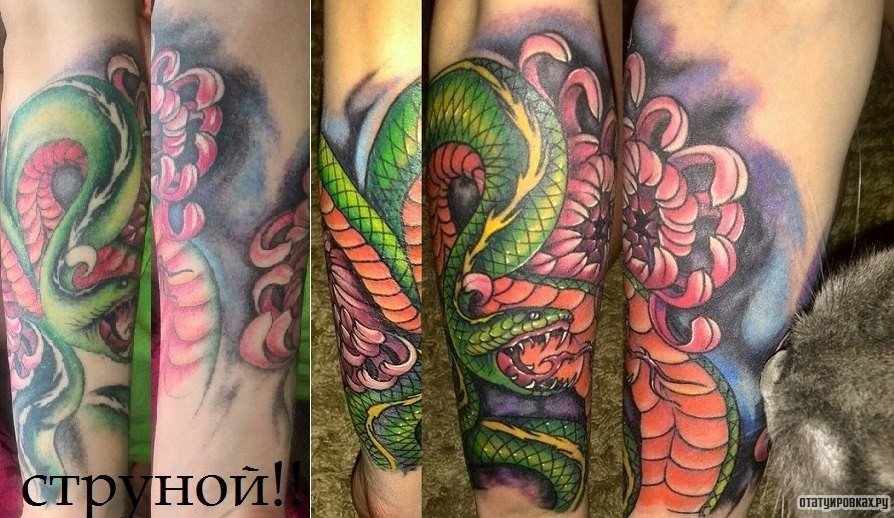 Фотография татуировки под названием «Змея на фоне пиона»