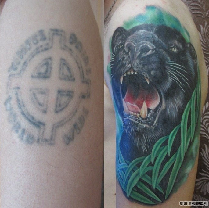 Фотография татуировки под названием «Оскал пантеры в траве»