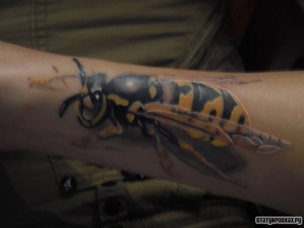 Фотография татуировки под названием «Пчела 3д»