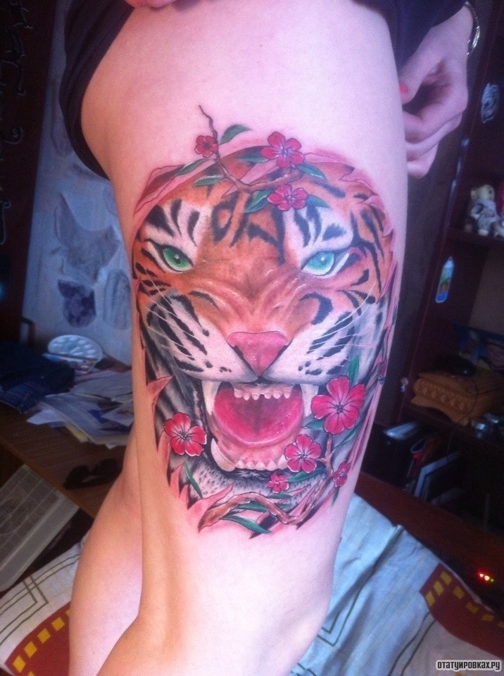 Фотография татуировки под названием «Тигр в цветах»