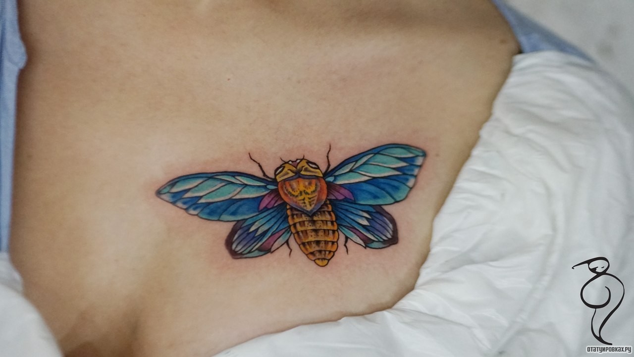 Фотография татуировки под названием «Летающий жук»