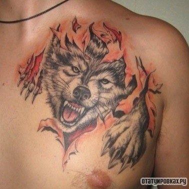 Фотография татуировки под названием «Волк под кожей»