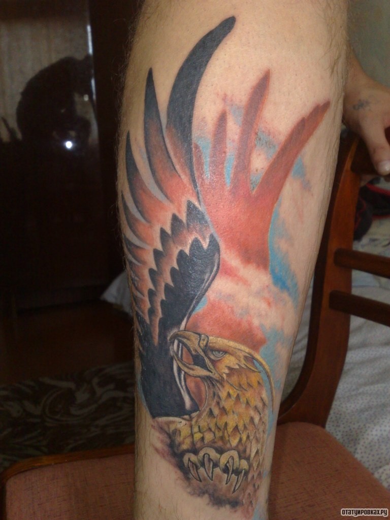 Фотография татуировки под названием «Жар птица с крылом»