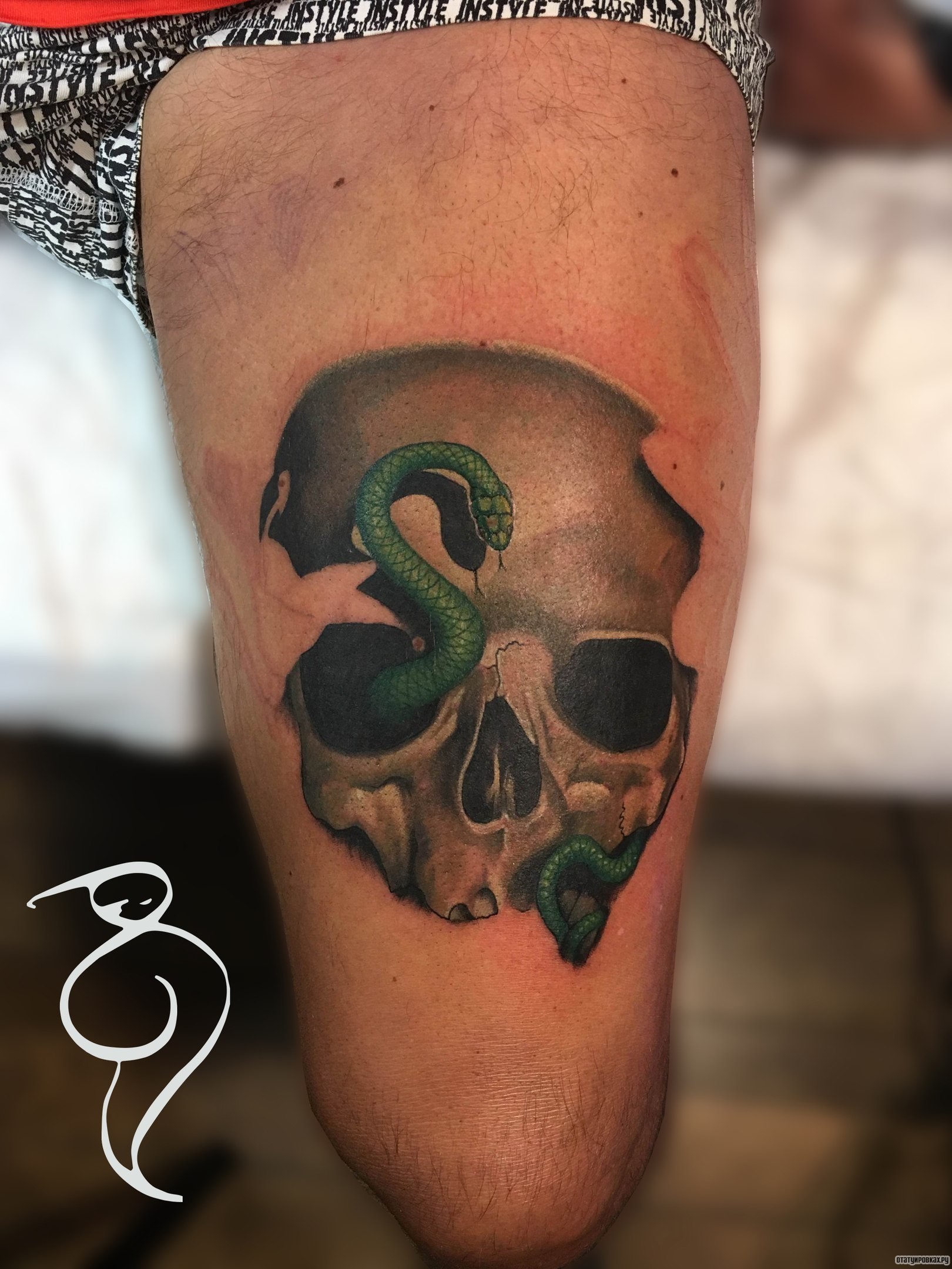 Фотография татуировки под названием «Змея и череп»