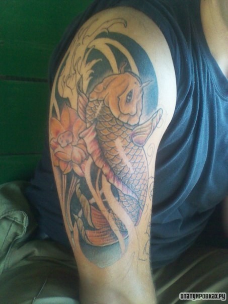 Фотография татуировки под названием «Карп и лотос»