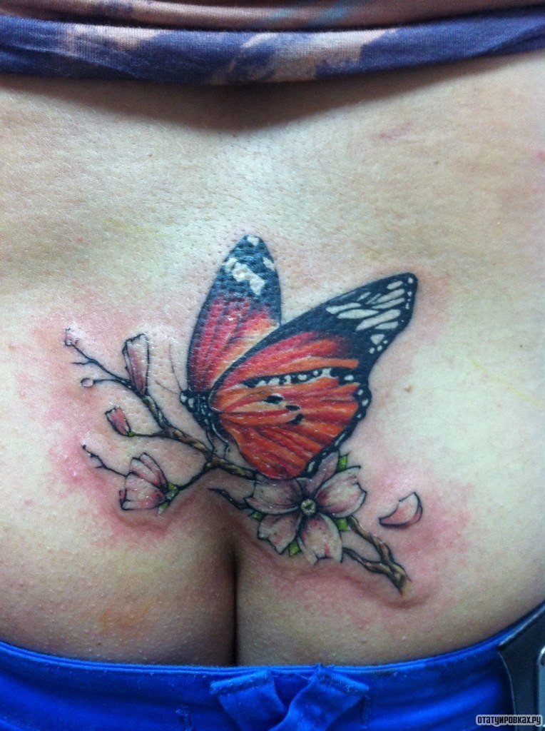 Фотография татуировки под названием «Бабочка на сакуре»