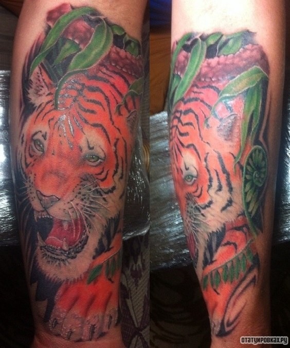 Фотография татуировки под названием «Тигр в зелени»