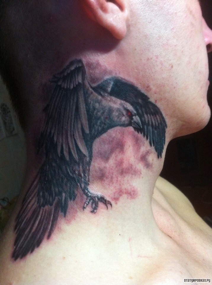Фотография татуировки под названием «Ворона в полете»