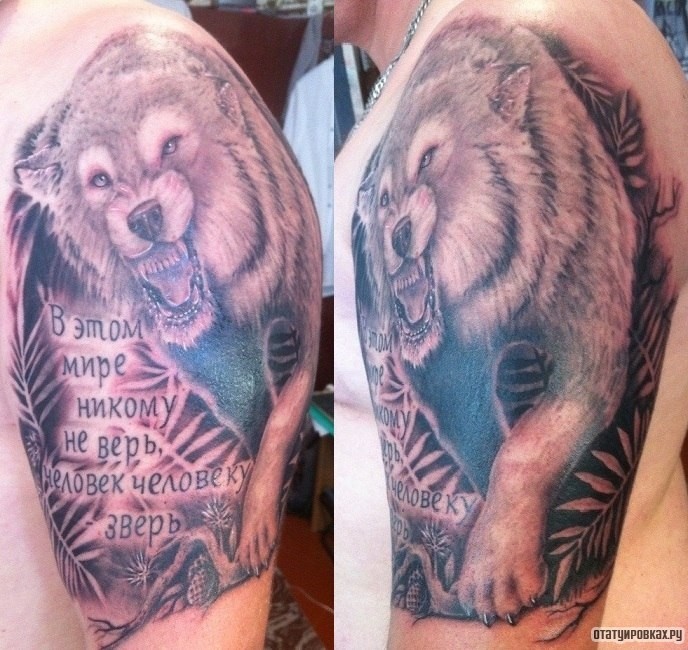 Фотография татуировки под названием «Волк и надпись»