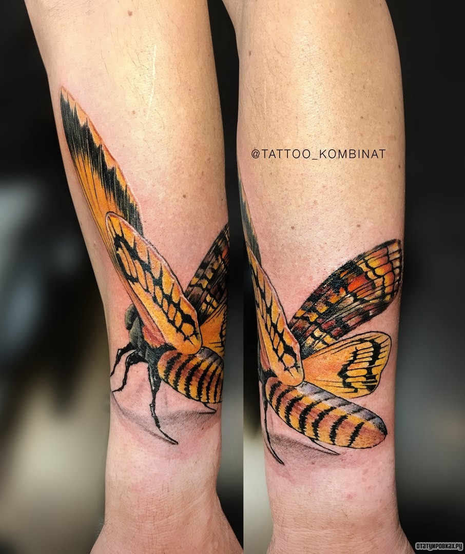 Фотография татуировки под названием «Бабочка насекомое»