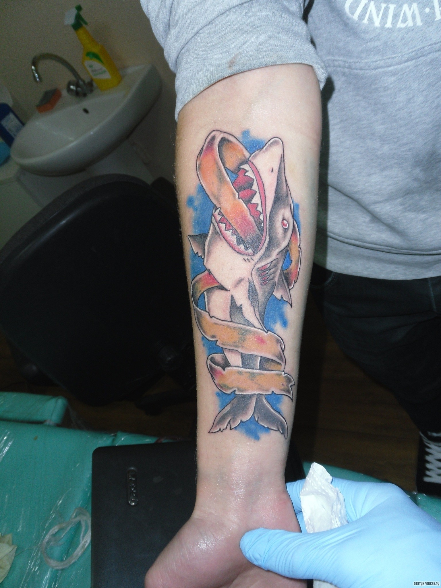 Фотография татуировки под названием «Акула с лентой»