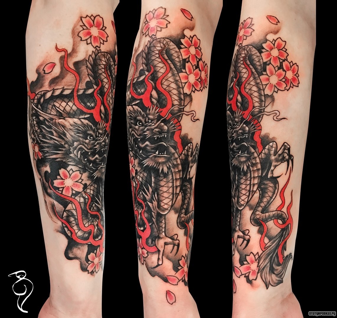 Фотография татуировки под названием «Дракон в черном цвете и цветы сакуры»