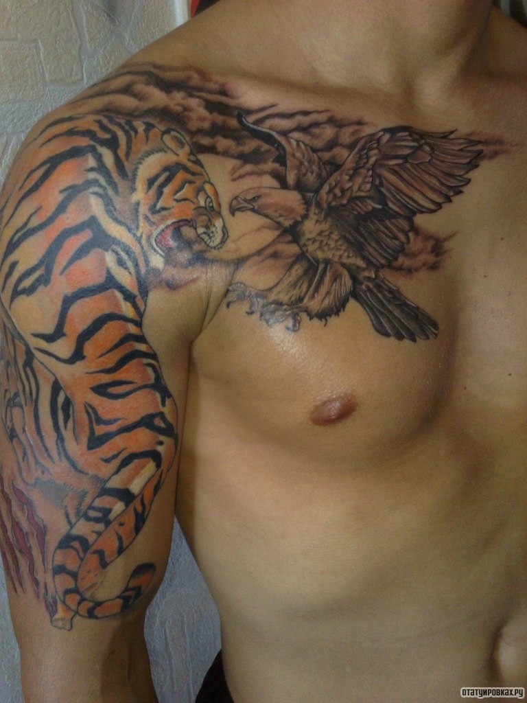 Фотография татуировки под названием «Тигр и орел»