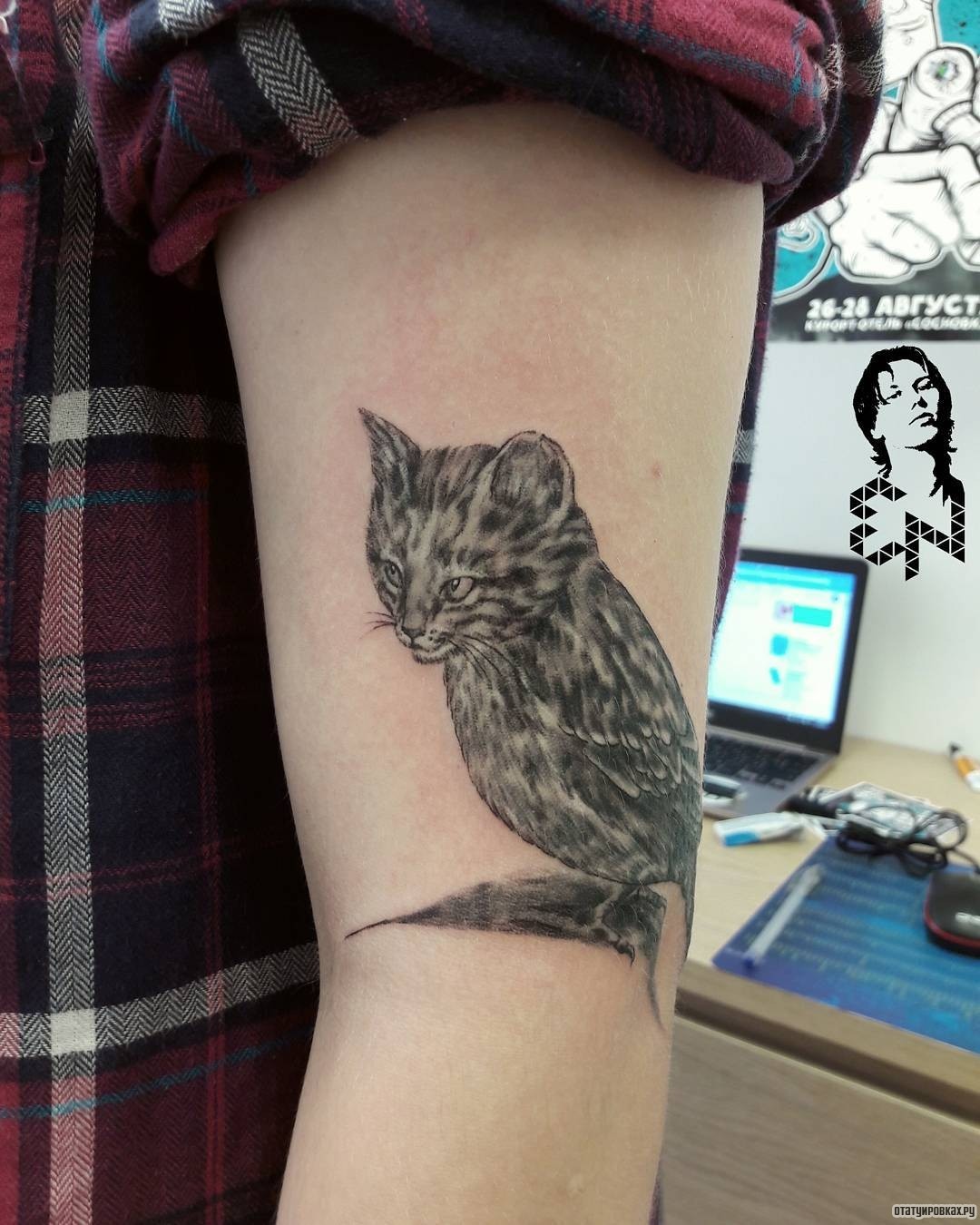 Фотография татуировки под названием «Кот птица»