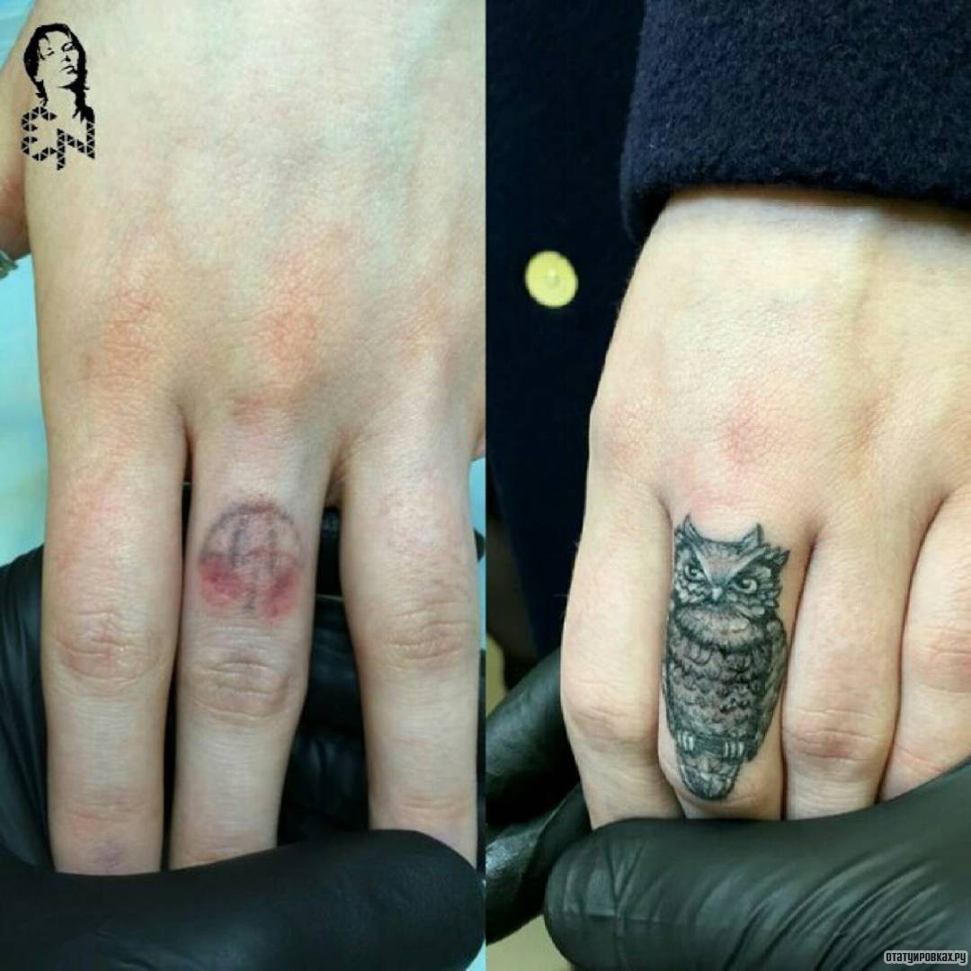 Фотография татуировки под названием «Сова на пальце»