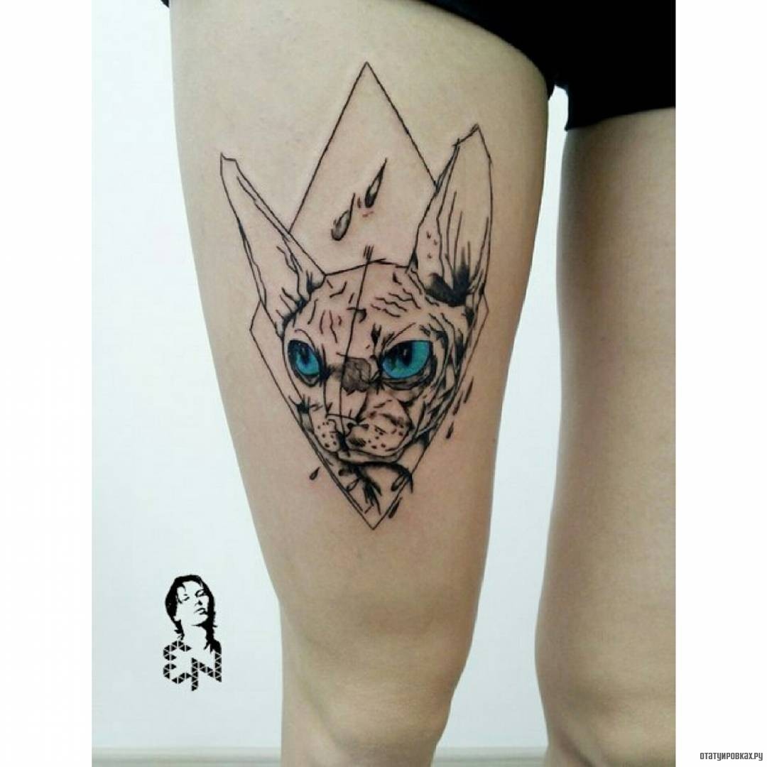 Фотография татуировки под названием «Кот сфинкс в треугольнике»