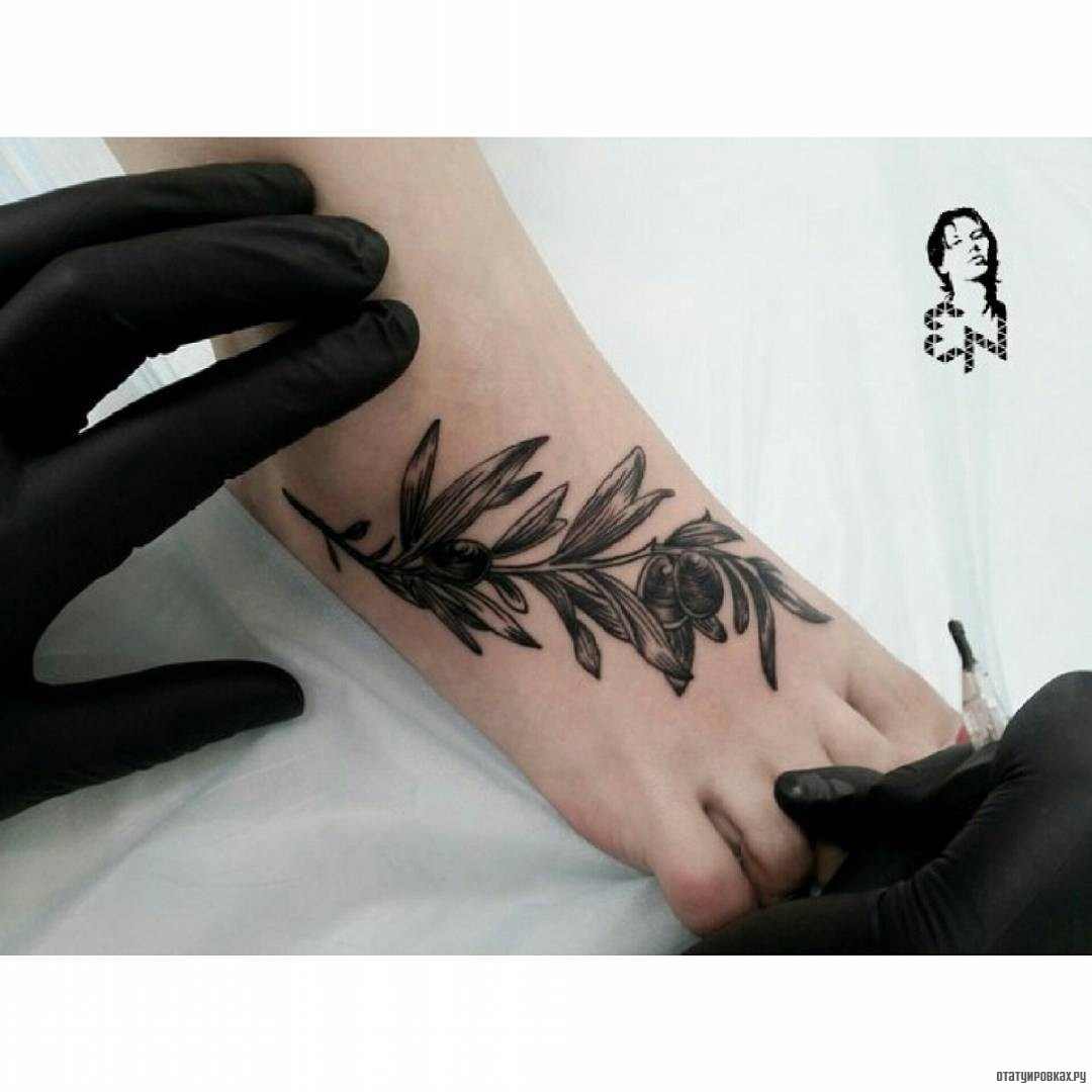 Фотография татуировки под названием «Ветка оливок»