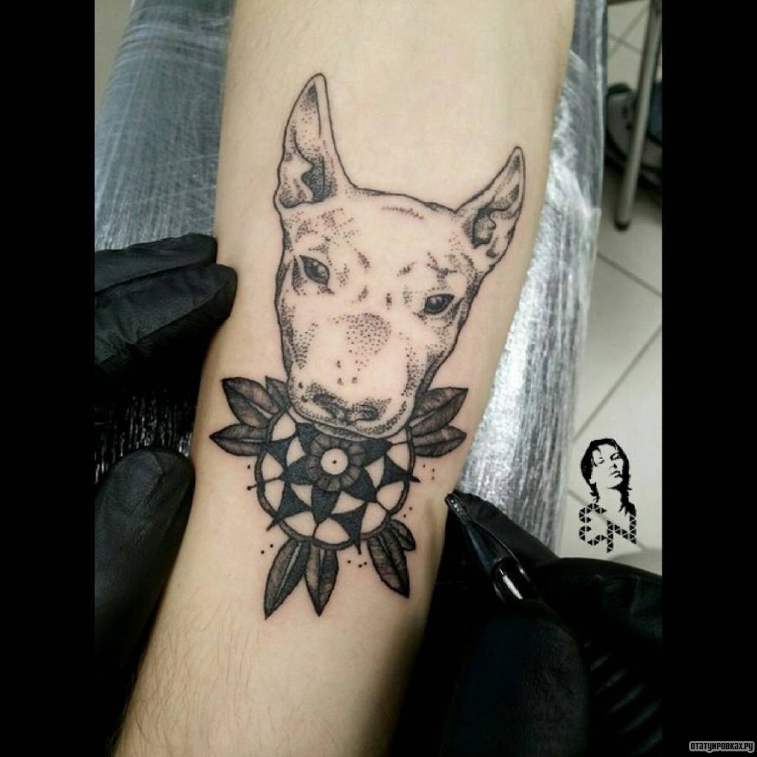 Фотография татуировки под названием «Собака с узором в зубах»