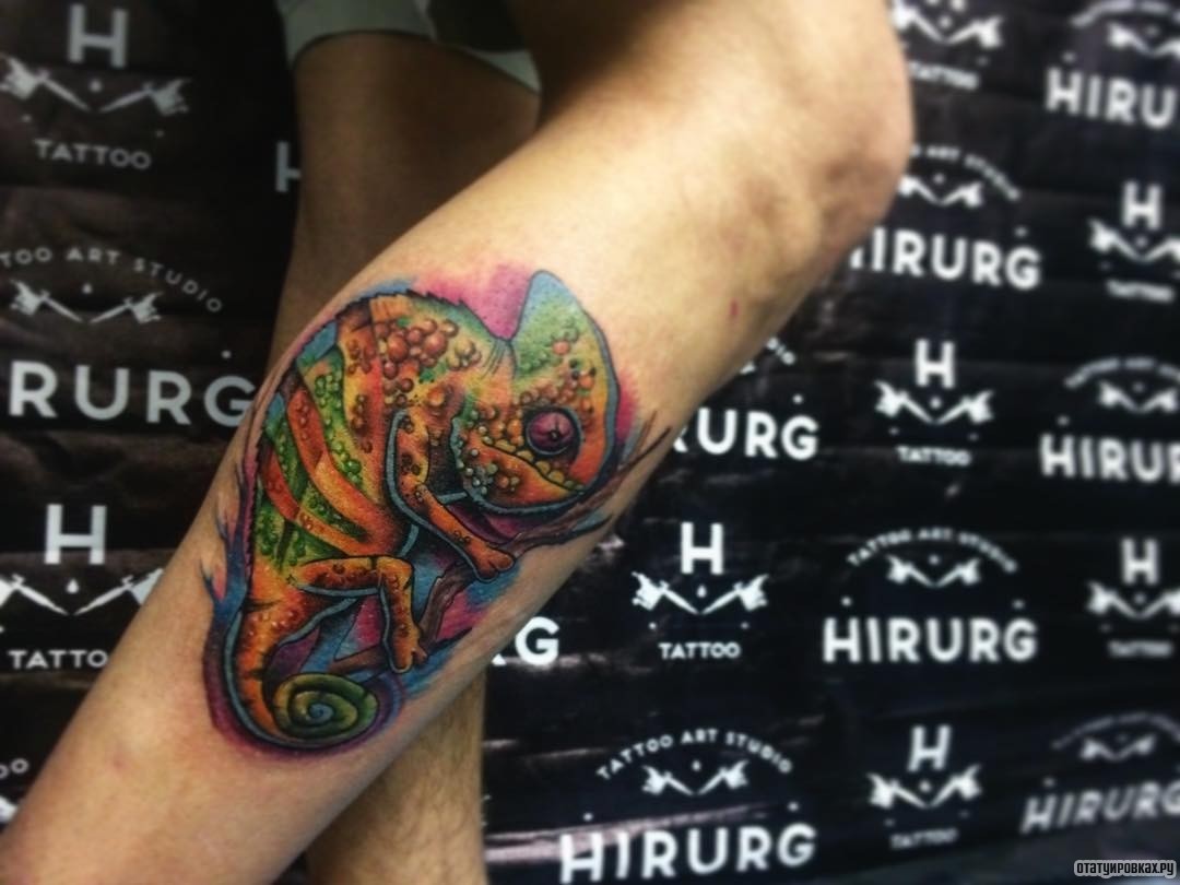 Фотография татуировки под названием «Хамелеон»