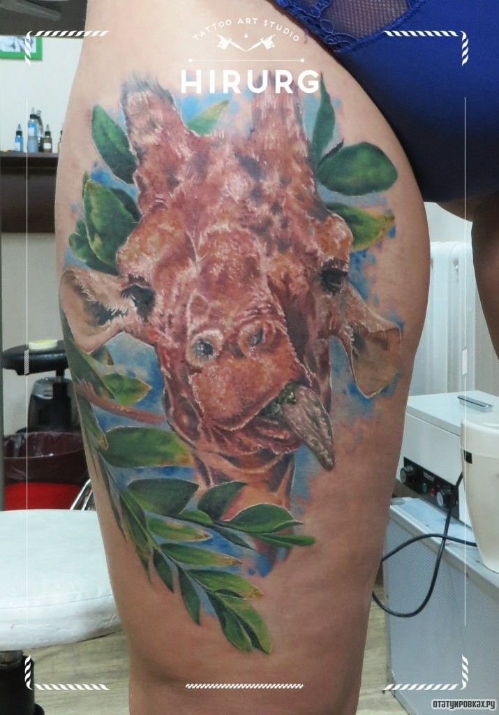Фотография татуировки под названием «Морда жирафа с листьями»